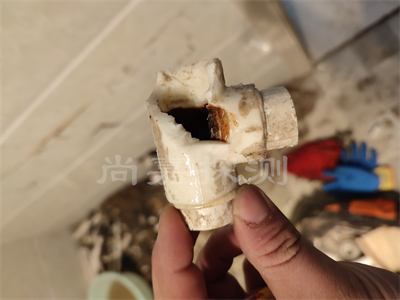张金镇自来水管道漏水检测